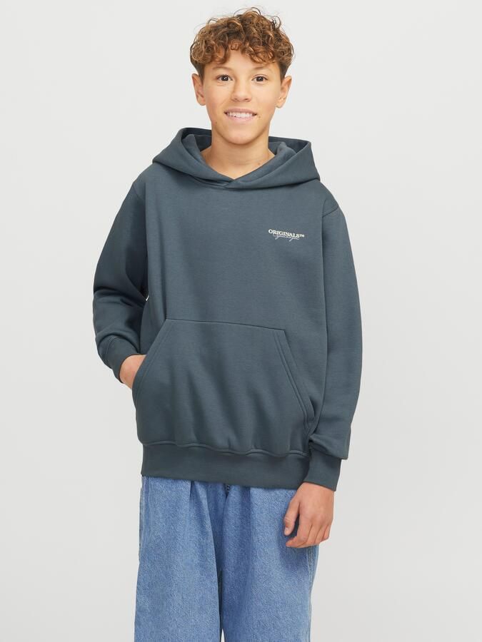 Jack & Jones Junior Hoodie JORISLINGTON BACK SWEAT HOOD SN JNR - Foto 7