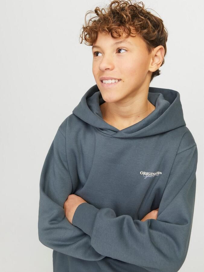 Jack & Jones Junior Hoodie JORISLINGTON BACK SWEAT HOOD SN JNR - Foto 4