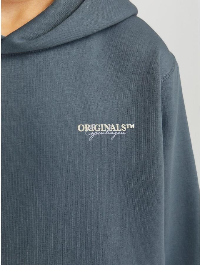 Jack & Jones Junior Hoodie JORISLINGTON BACK SWEAT HOOD SN JNR - Foto 3