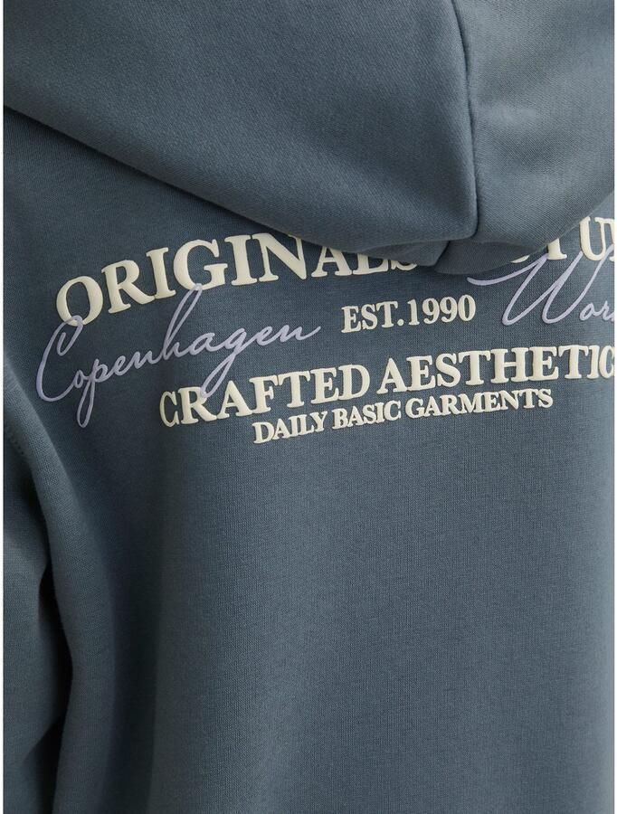 Jack & Jones Junior Hoodie JORISLINGTON BACK SWEAT HOOD SN JNR - Foto 2