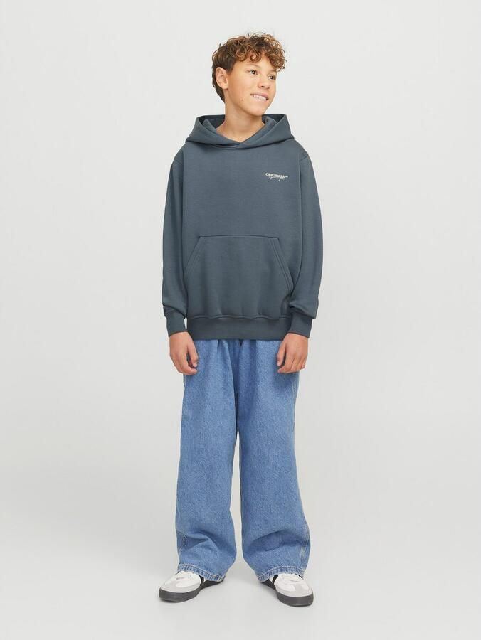 Jack & Jones Junior Hoodie JORISLINGTON BACK SWEAT HOOD SN JNR - Foto 5