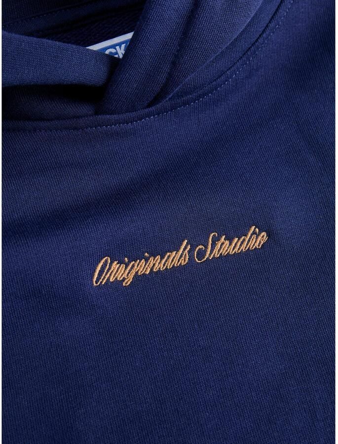 Jack & Jones Junior Hoodie JORNORREBRO EMB SWEAT HOOD NOOS JNR