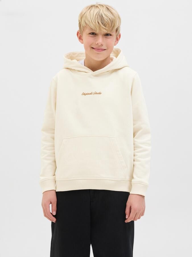 Jack & Jones Junior Hoodie JORNORREBRO EMB SWEAT HOOD NOOS JNR - Foto 7