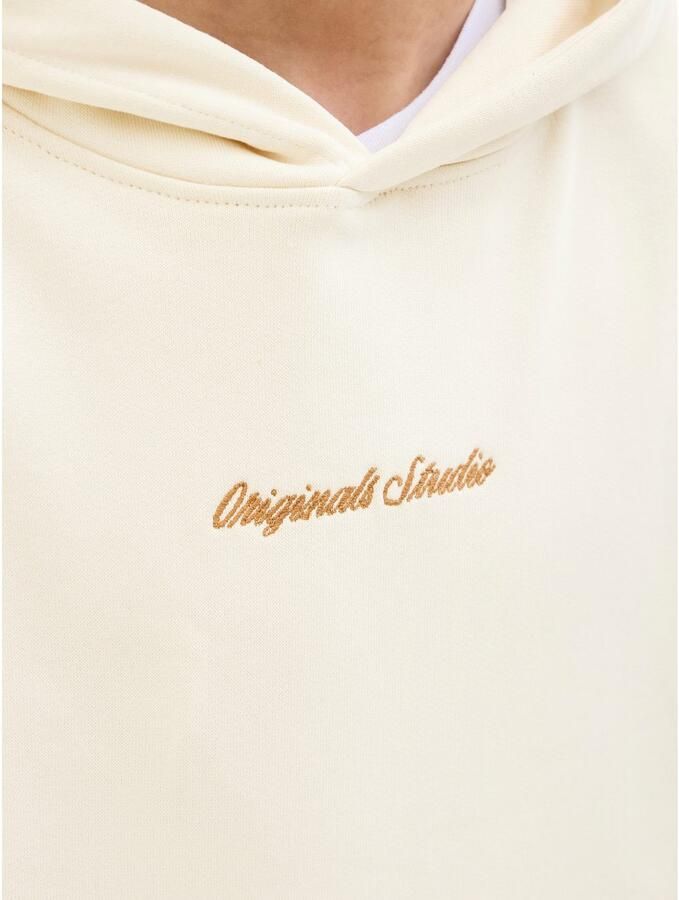 Jack & Jones Junior Hoodie JORNORREBRO EMB SWEAT HOOD NOOS JNR - Foto 2