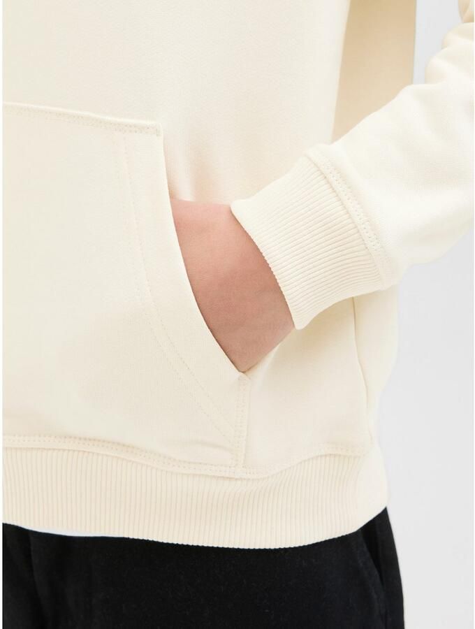 Jack & Jones Junior Hoodie JORNORREBRO EMB SWEAT HOOD NOOS JNR