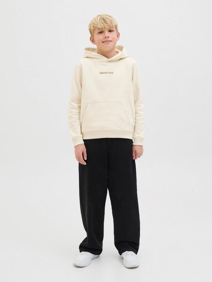 Jack & Jones Junior Hoodie JORNORREBRO EMB SWEAT HOOD NOOS JNR - Foto 4