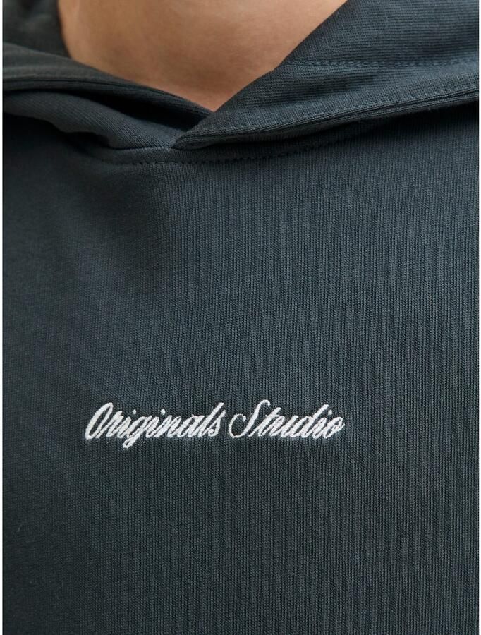 Jack & Jones Junior Hoodie JORNORREBRO EMB SWEAT HOOD NOOS JNR - Foto 2