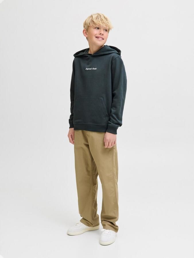 Jack & Jones Junior Hoodie JORNORREBRO EMB SWEAT HOOD NOOS JNR - Foto 4