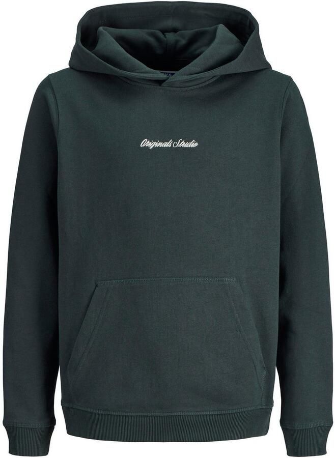 Jack & Jones Junior Hoodie JORNORREBRO EMB SWEAT HOOD NOOS JNR - Foto 6