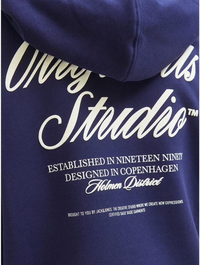 Jack & Jones Junior Hoodie JORNORREBRO TYPO BACK SWEAT HOOD SN JNR - Foto 2