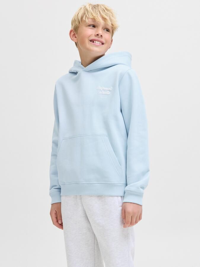Jack & Jones Junior Hoodie JORNORREBRO TYPO BACK SWEAT HOOD SN JNR - Foto 7