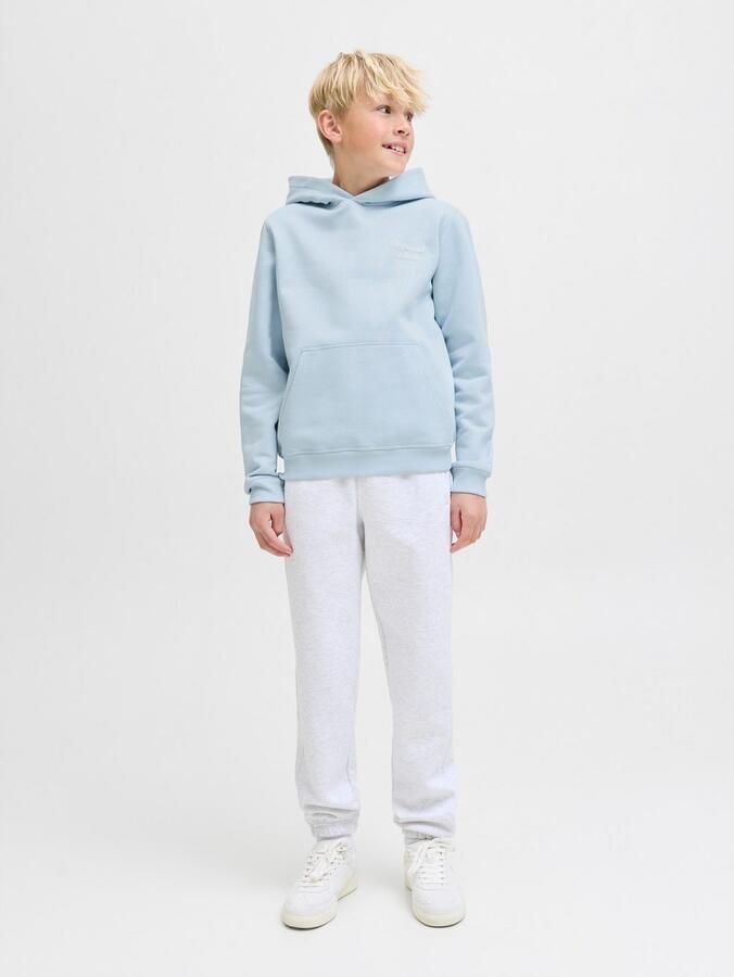 Jack & Jones Junior Hoodie JORNORREBRO TYPO BACK SWEAT HOOD SN JNR - Foto 4