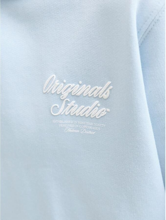 Jack & Jones Junior Hoodie JORNORREBRO TYPO BACK SWEAT HOOD SN JNR - Foto 2