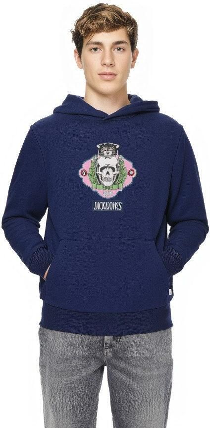 Jack & Jones Junior Hoodie JORSKULL NATURE SWEAT HOOD SN JNR - Foto 2
