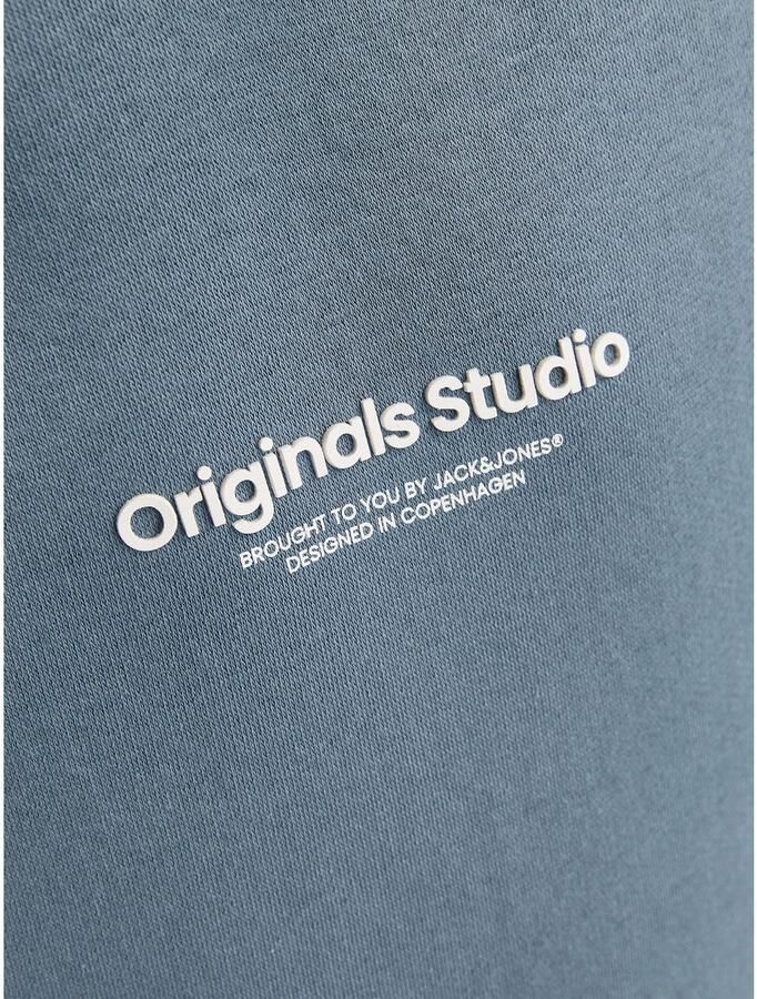 JACK & JONES JUNIOR hoodie JORVESTERBRO met tekst staalgrijs - Foto 3