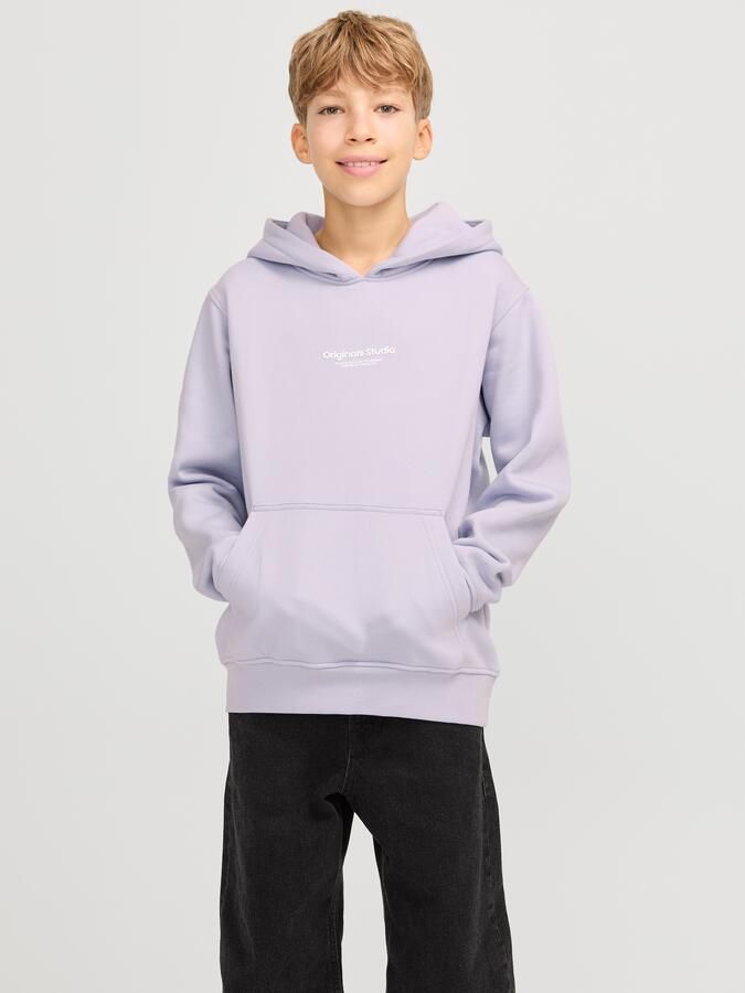 Jack & Jones Junior Hoodie JORVESTERBRO SWEAT HOOD NOOS JNR - Foto 8