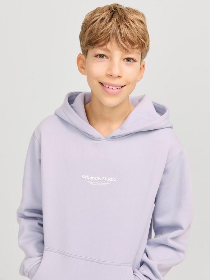 Jack & Jones Junior Hoodie JORVESTERBRO SWEAT HOOD NOOS JNR - Foto 4