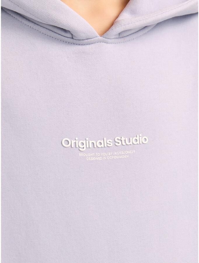 Jack & Jones Junior Hoodie JORVESTERBRO SWEAT HOOD NOOS JNR - Foto 2