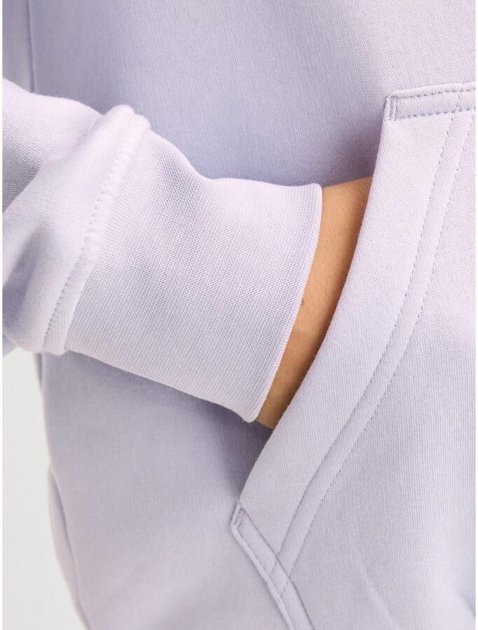 Jack & Jones Junior Hoodie JORVESTERBRO SWEAT HOOD NOOS JNR - Foto 3