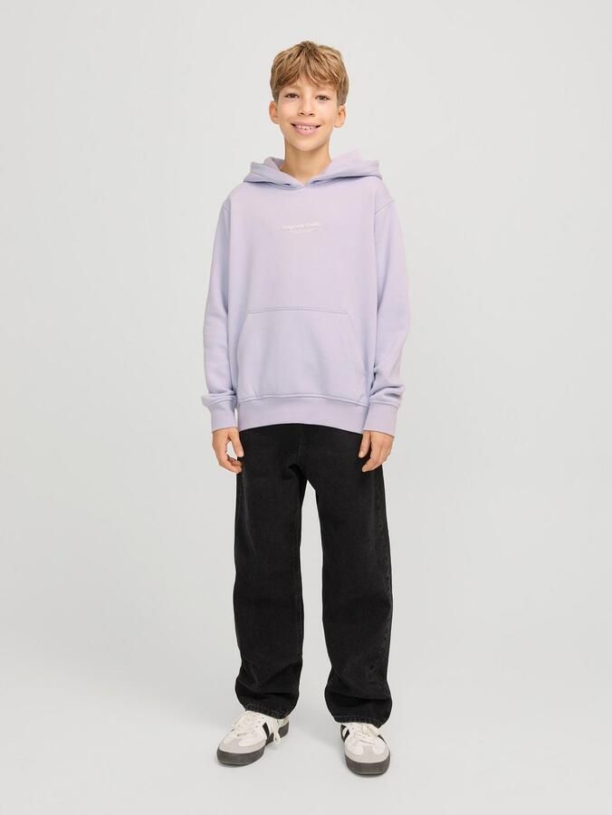 Jack & Jones Junior Hoodie JORVESTERBRO SWEAT HOOD NOOS JNR - Foto 5