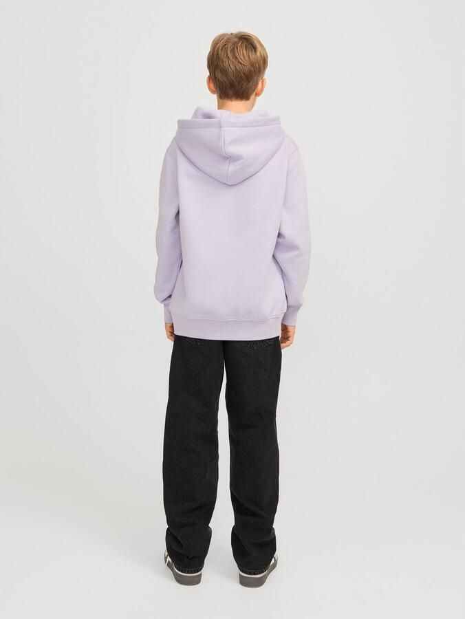 Jack & Jones Junior Hoodie JORVESTERBRO SWEAT HOOD NOOS JNR - Foto 6