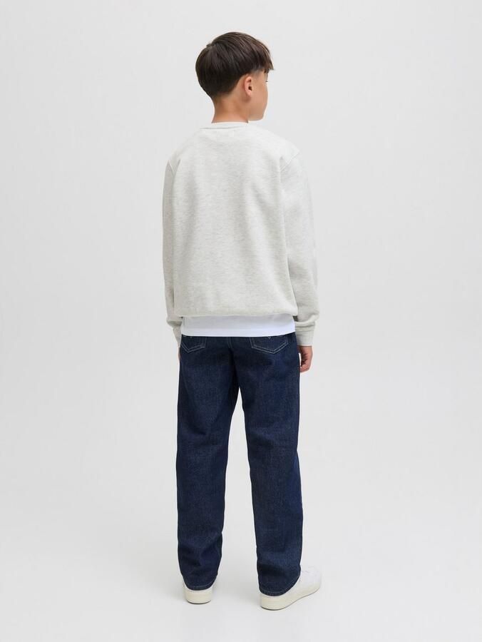 Jack & Jones Junior Sweatshirt JCOTIER PRINT SWEAT CREW NECK SN JNR - Foto 6