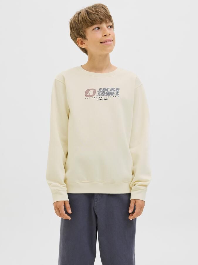 Jack & Jones Junior Sweatshirt JCOTIER PRINT SWEAT CREW NECK SN JNR - Foto 11