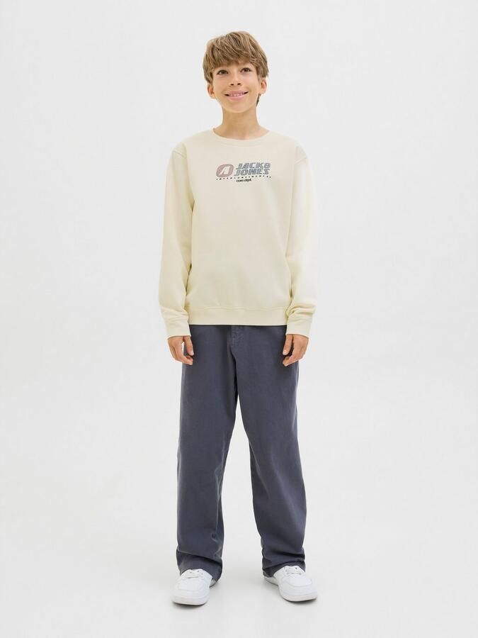 Jack & Jones Junior Sweatshirt JCOTIER PRINT SWEAT CREW NECK SN JNR - Foto 9