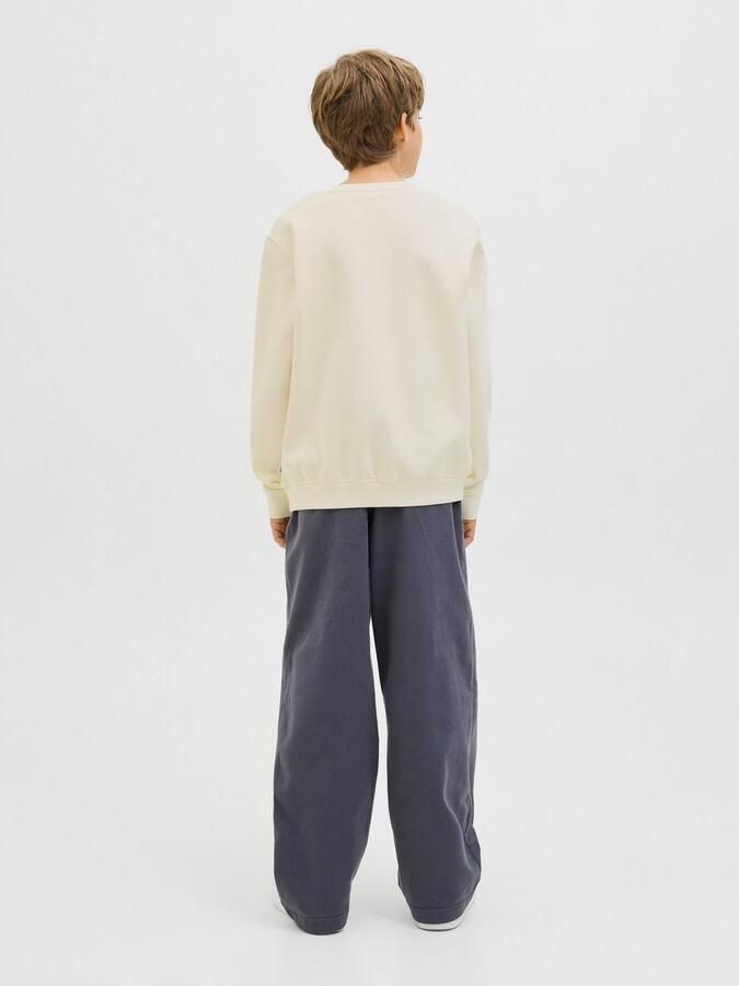 Jack & Jones Junior Sweatshirt JCOTIER PRINT SWEAT CREW NECK SN JNR - Foto 10