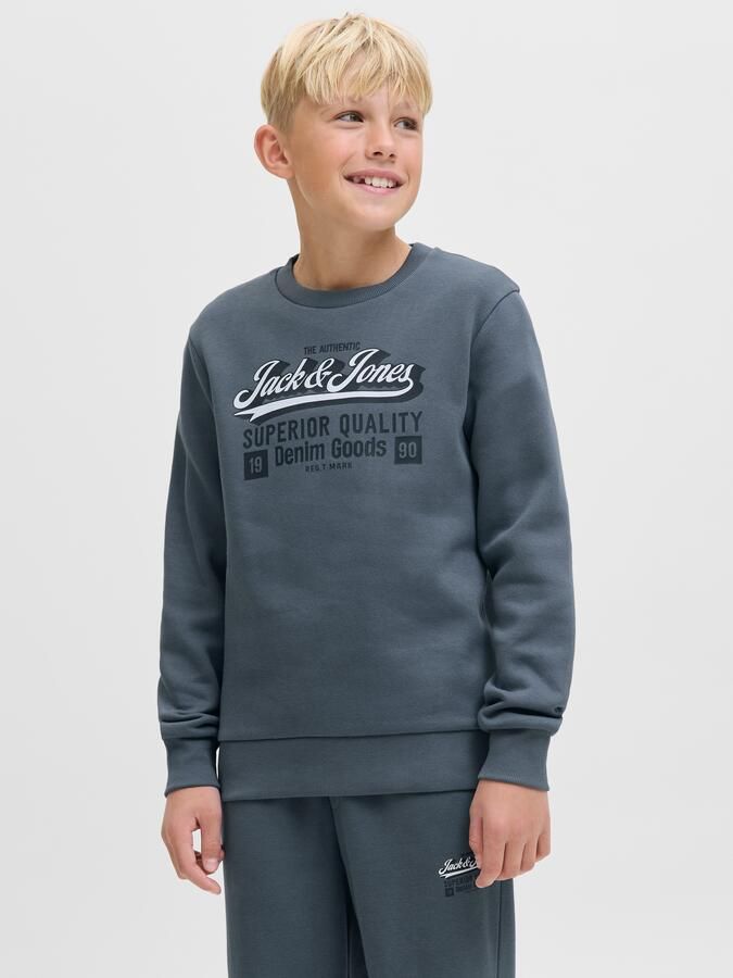 Jack & Jones Junior Sweatshirt JJELOGO SWEAT CREW 2 COL AW25 NOOS JNR - Foto 7