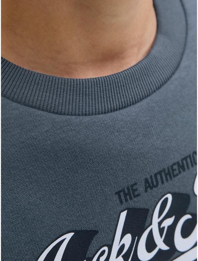 Jack & Jones Junior Sweatshirt JJELOGO SWEAT CREW 2 COL AW25 NOOS JNR - Foto 2
