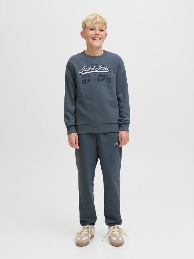 Jack & Jones Junior Sweatshirt JJELOGO SWEAT CREW 2 COL AW25 NOOS JNR - Foto 6