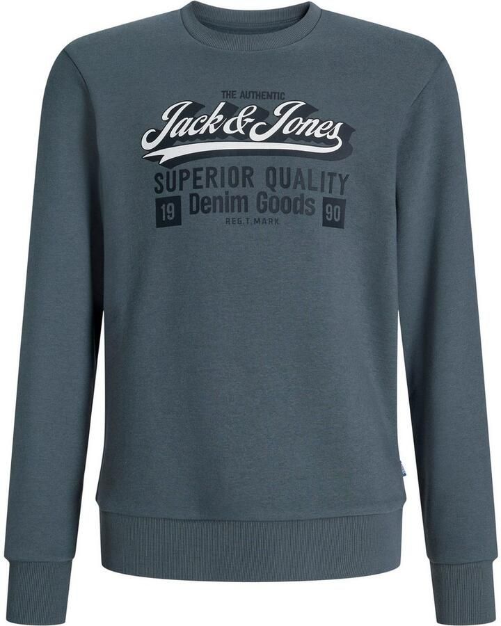 Jack & Jones Junior Sweatshirt JJELOGO SWEAT CREW 2 COL AW25 NOOS JNR
