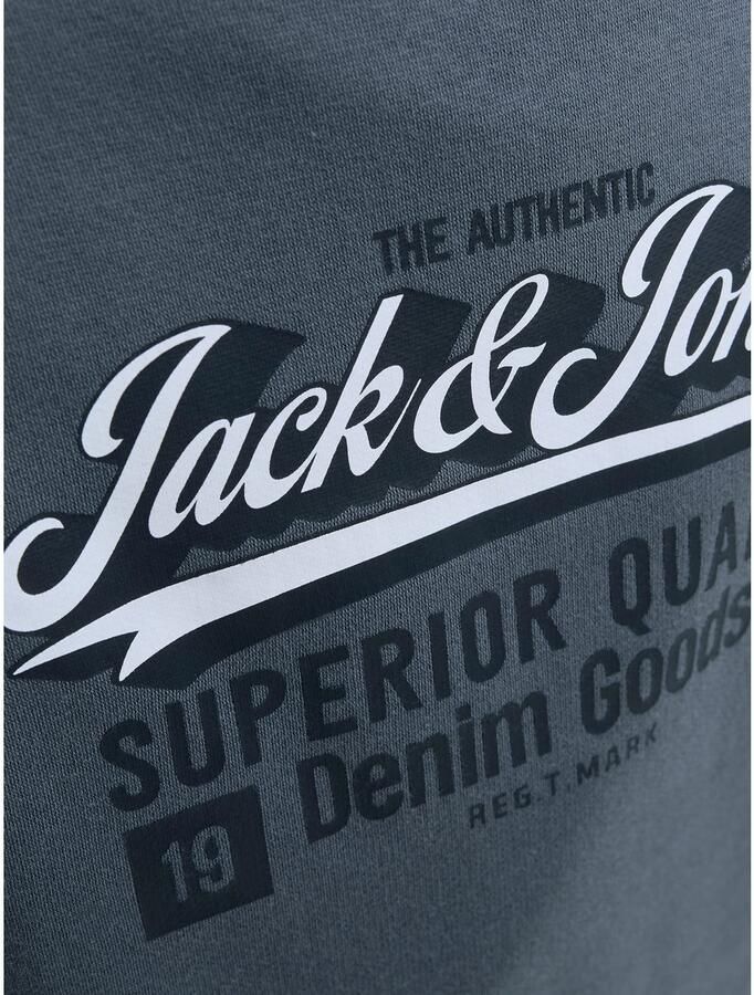 Jack & Jones Junior Sweatshirt JJELOGO SWEAT CREW 2 COL AW25 NOOS JNR - Foto 3