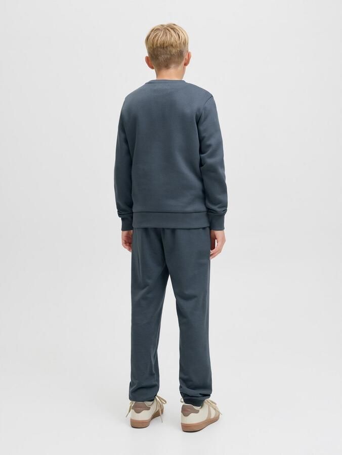 Jack & Jones Junior Sweatshirt JJELOGO SWEAT CREW 2 COL AW25 NOOS JNR - Foto 5