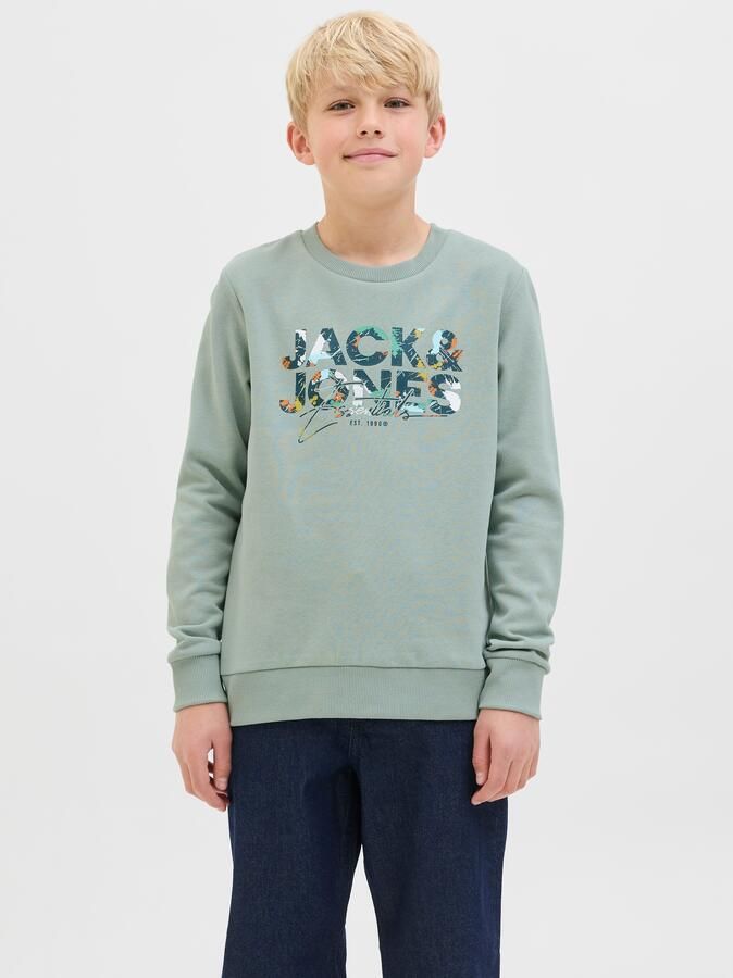 Jack & Jones Junior Sweatshirt JJGEPLAS SWEAT CREW NECK JNR - Foto 8