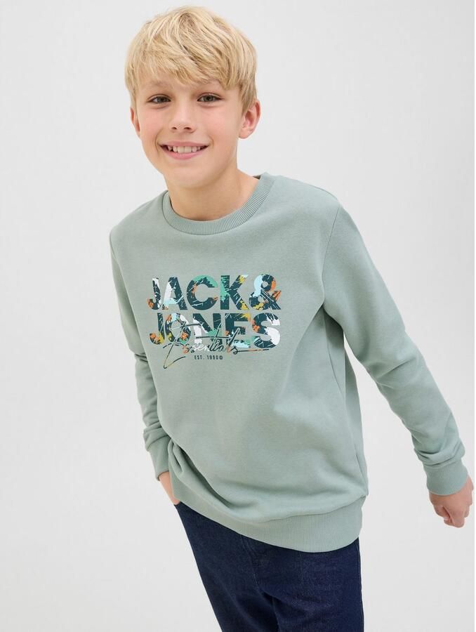 Jack & Jones Junior Sweatshirt JJGEPLAS SWEAT CREW NECK JNR - Foto 6