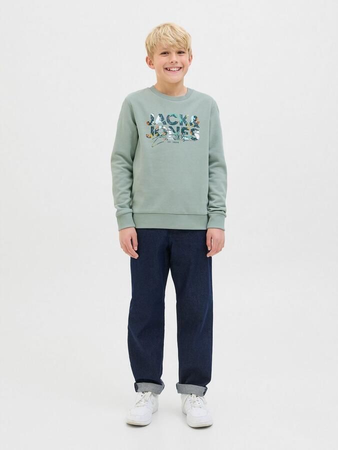 Jack & Jones Junior Sweatshirt JJGEPLAS SWEAT CREW NECK JNR - Foto 7