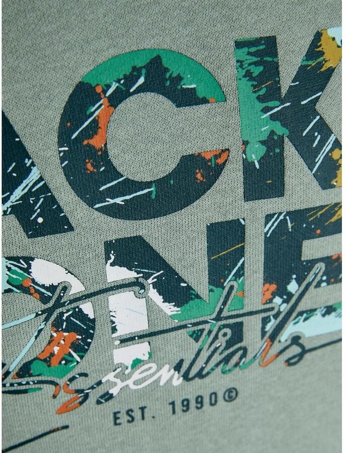 Jack & Jones Junior Sweatshirt JJGEPLAS SWEAT CREW NECK JNR - Foto 4