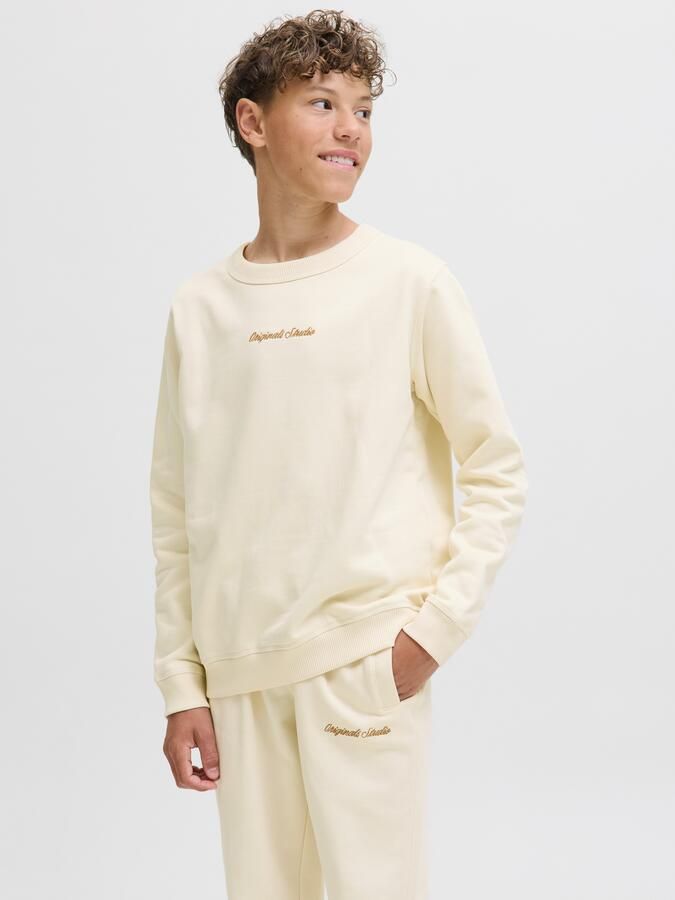Jack & Jones Junior Sweatshirt JORNORREBRO EMB SWEAT CREW NOOS JNR - Foto 6