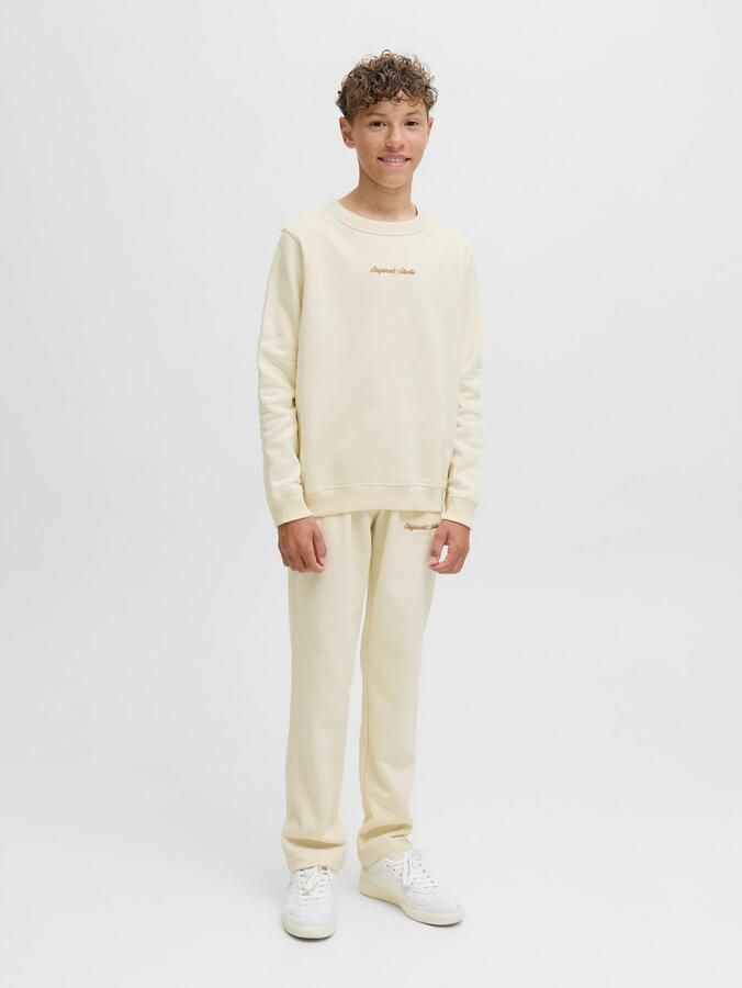 Jack & Jones Junior Sweatshirt JORNORREBRO EMB SWEAT CREW NOOS JNR - Foto 4