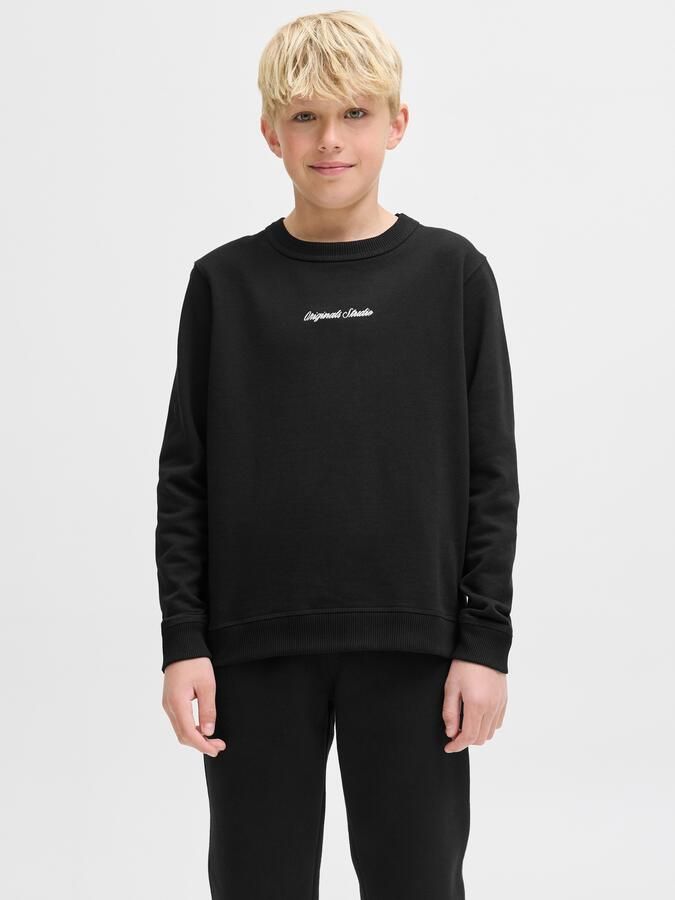 Jack & Jones Junior Sweatshirt JORNORREBRO EMB SWEAT CREW NOOS JNR - Foto 7