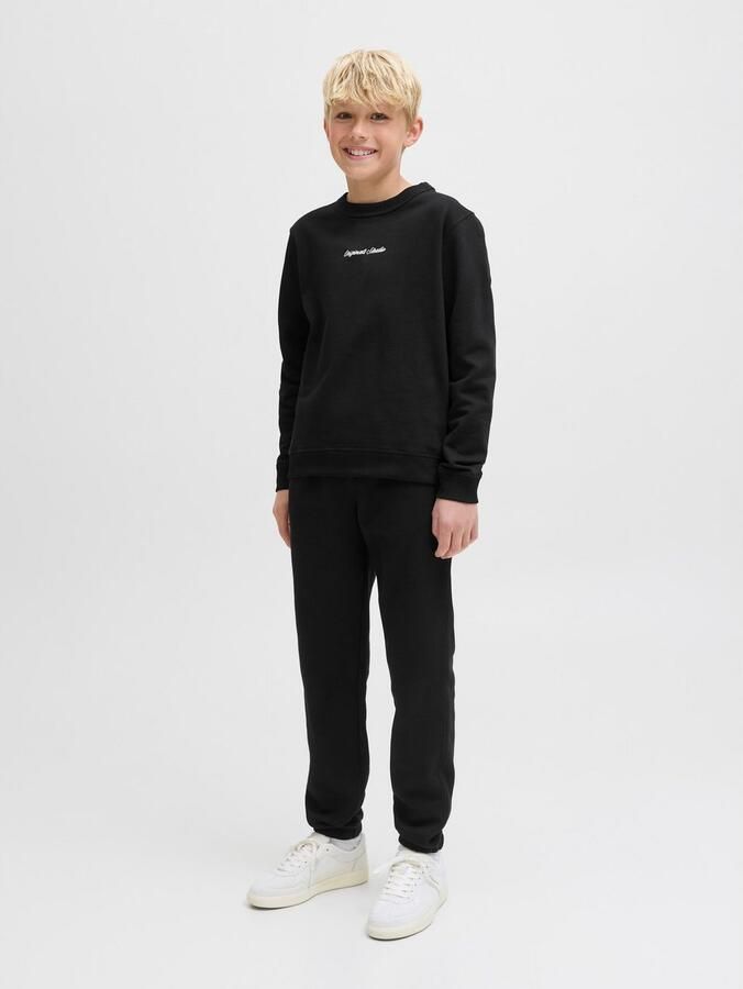 Jack & Jones Junior Sweatshirt JORNORREBRO EMB SWEAT CREW NOOS JNR - Foto 5