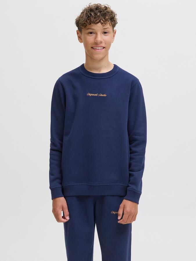 Jack & Jones Junior Sweatshirt JORNORREBRO EMB SWEAT CREW NOOS JNR - Foto 7