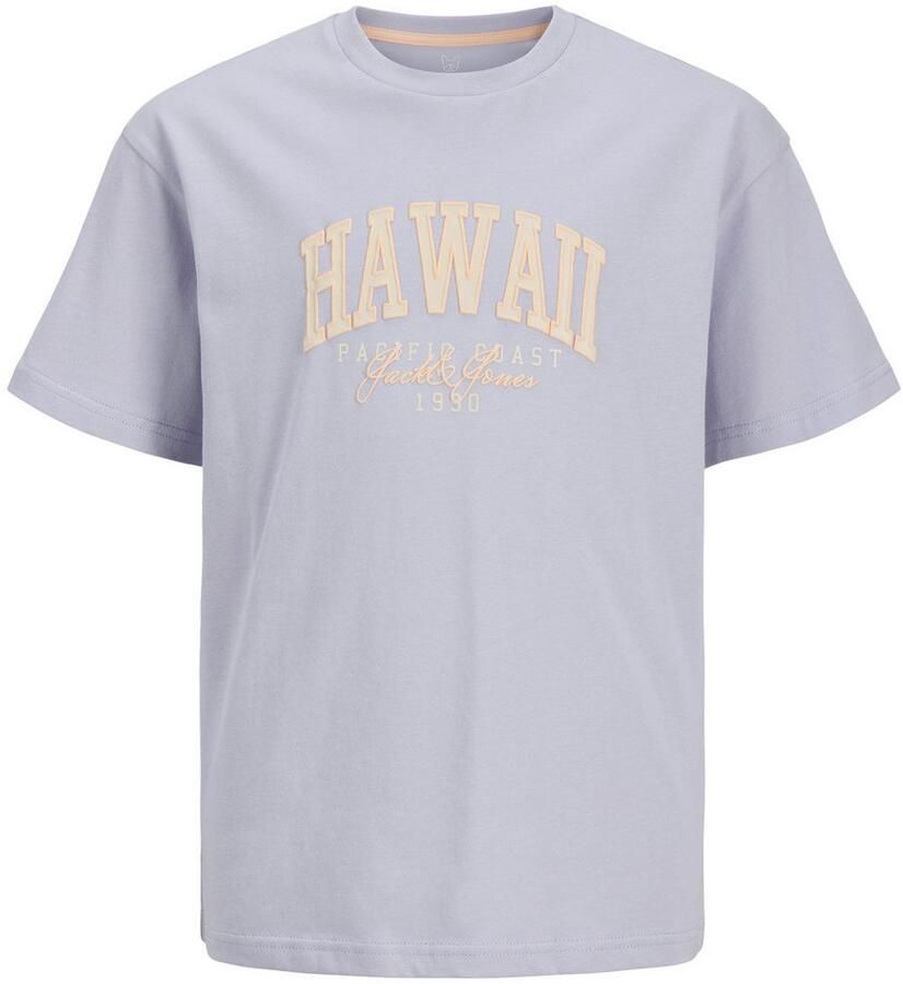 Jack & Jones Junior T-shirt JJDETROIT TEE SS CREW NECK JNR