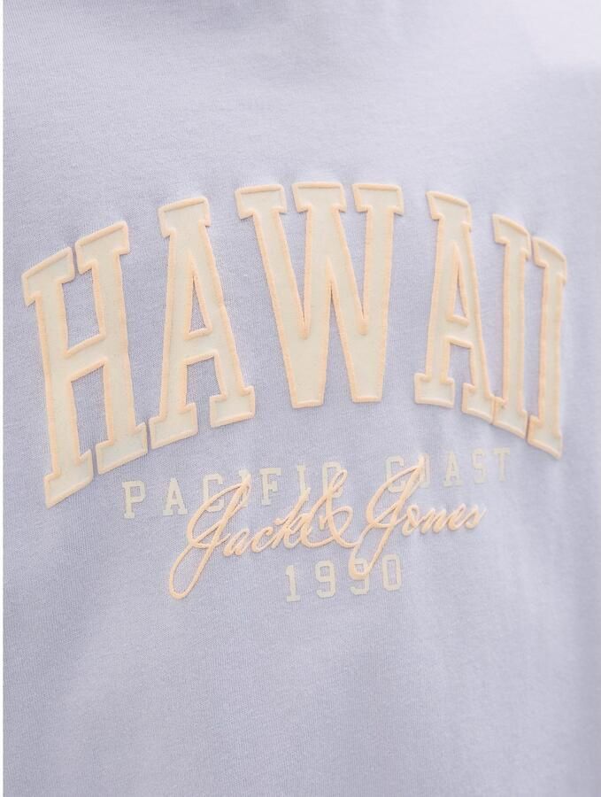 Jack & Jones Junior T-shirt JJDETROIT TEE SS CREW NECK JNR - Foto 3