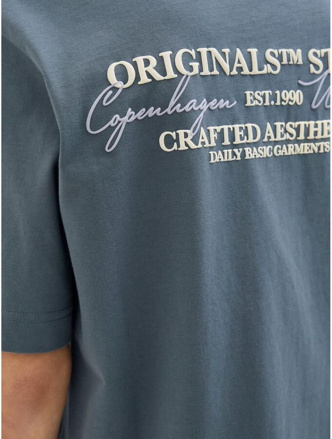 Jack & Jones Junior T-shirt JORISLINGTON TYPE TEE SS CREW N. SN JNR - Foto 2