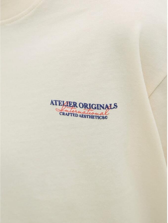 Jack & Jones Junior T-shirt JORISLINGTON TYPE TEE SS CREW N. SN JNR - Foto 3