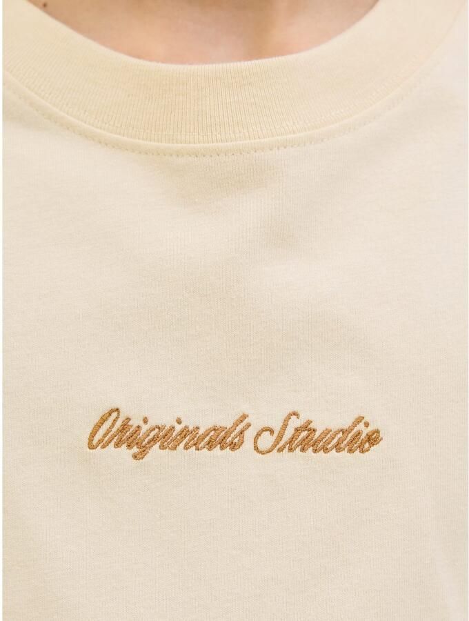 Jack & Jones Junior T-shirt JORNORREBRO EMB TEE SS CN NOOS JNR - Foto 3