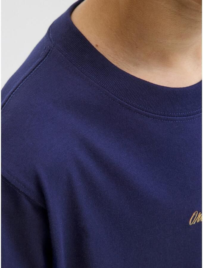 Jack & Jones Junior T-shirt JORNORREBRO EMB TEE SS CN NOOS JNR - Foto 2